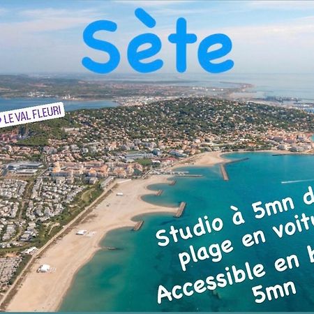 Magnifique Studio à Sete proche des plages Extérieur photo