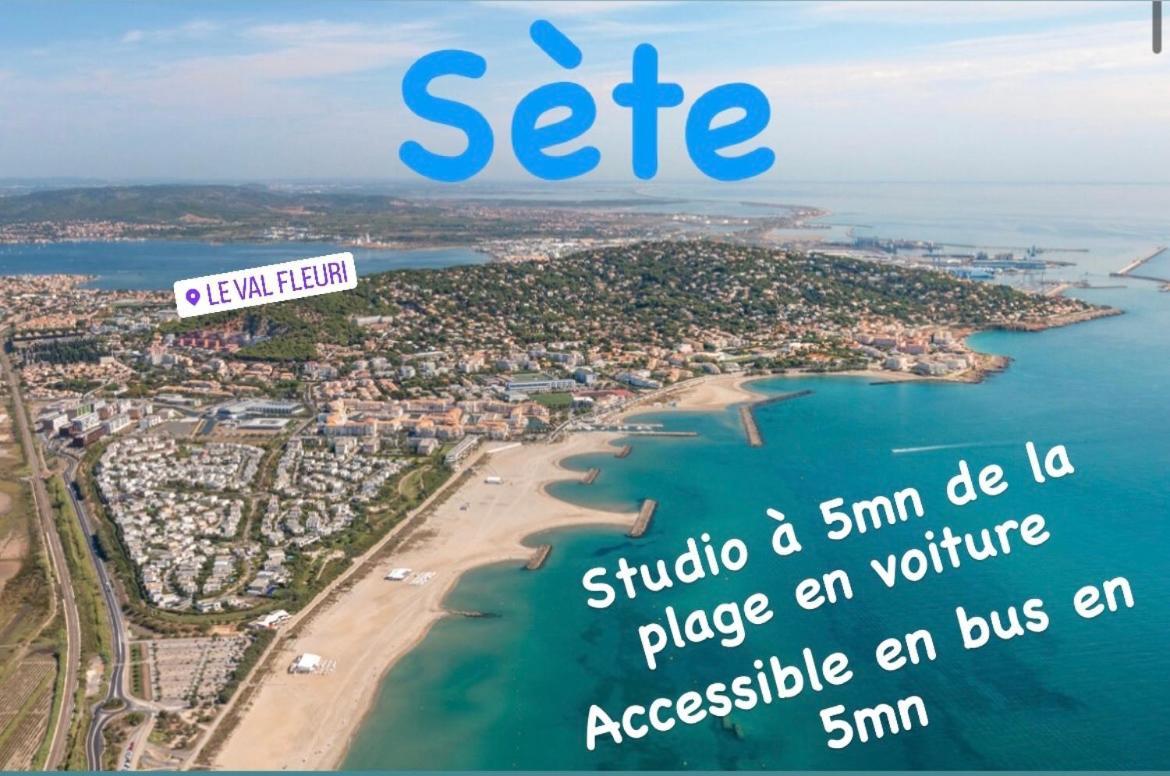 Magnifique Studio à Sete proche des plages Extérieur photo